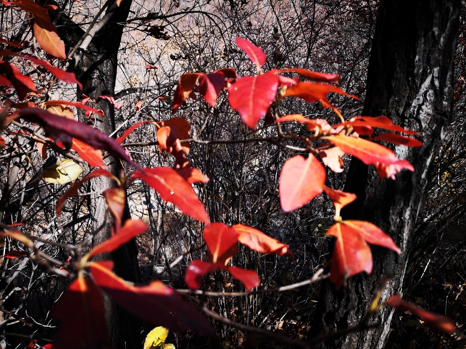 VdcIRMMv5W0jpuU7hVfnIiIVJeBCbsVehMArk04PW46prZ5BR-SdJZcmUGpXoZdu