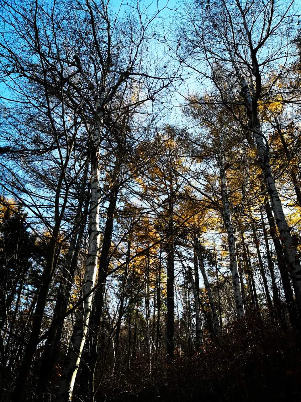 gRN8aPUuNsduWXN0TZToxjob_atMxr6Wk4hH9NMSH_RUi9Sp0hx1hEQ60AJe-i7q