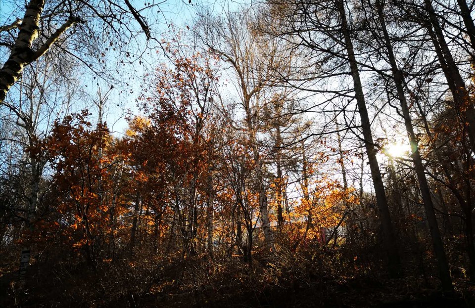 5mjdehi0rWn379TpfBySDpgA01WEDVa1bexMKB3ROsijS0LJ1aMZnwLLMw_Wgbiu