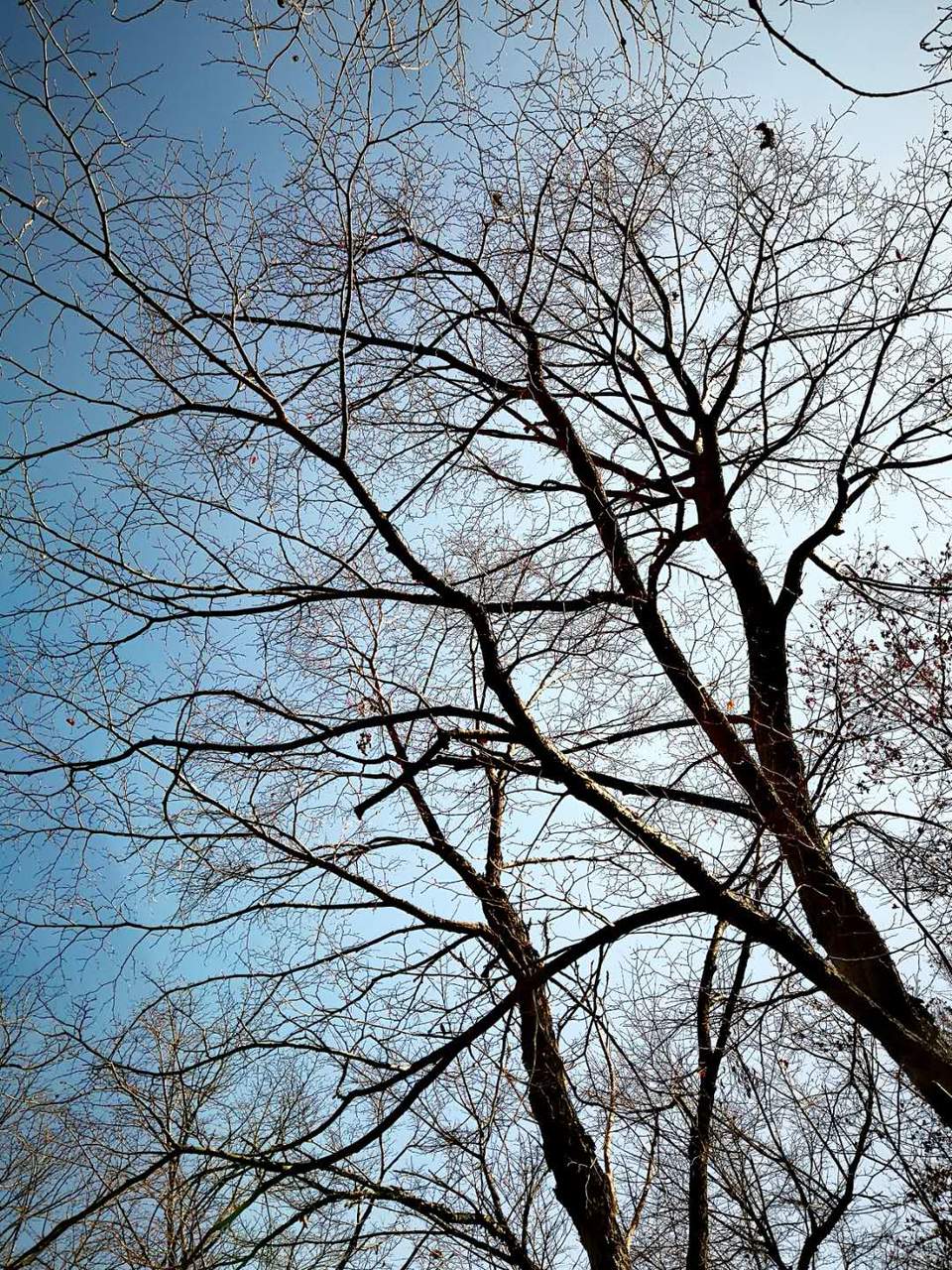 O170cs-CGmr_FQ0m0WcHuiTZS3CfFmUs1xFHRaujZ0zQTPP864S71-2KHGDstxiK