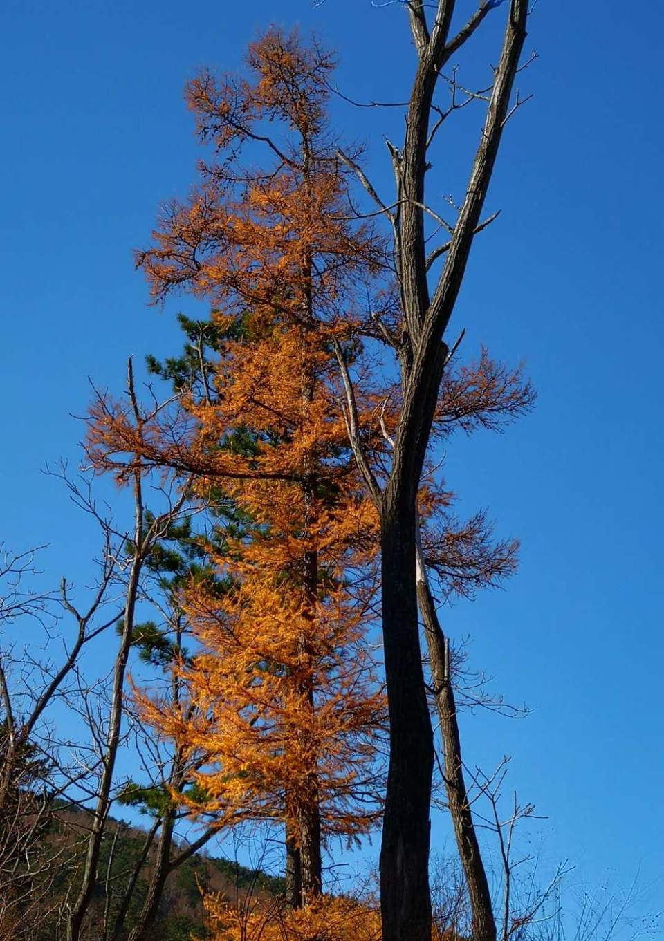 4L8vjuVPG9Ex4iILTN7d0BggE8zUd-lrlLFYr5UR27QpYlt90vWiCPnbQFSK0K3p