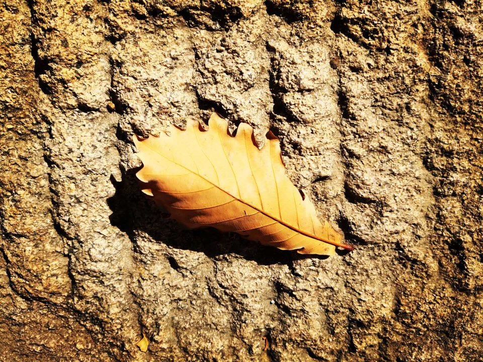 CYdd_wetp4DY8himoicYq82ODnCIFupJ-IXKo8hqrIEAtoFNYqCDHaCdTJYCZVHa