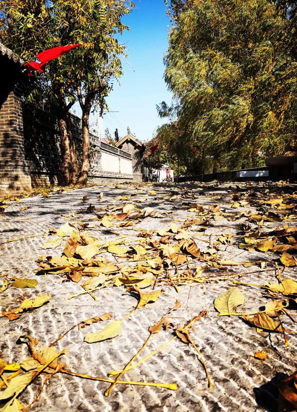 v3AjbZh04pL6DVFRgbvgq_ncjgOk7axKellSa2cUWf2dzzX4-GPpHlsLNSxaCzDp