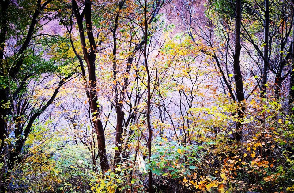 cbKk3jIYWbdxXp1OywTWtW5buFIW8F6lmeWiBCbUzGje7Grq5X77dj-p7U8fi3af