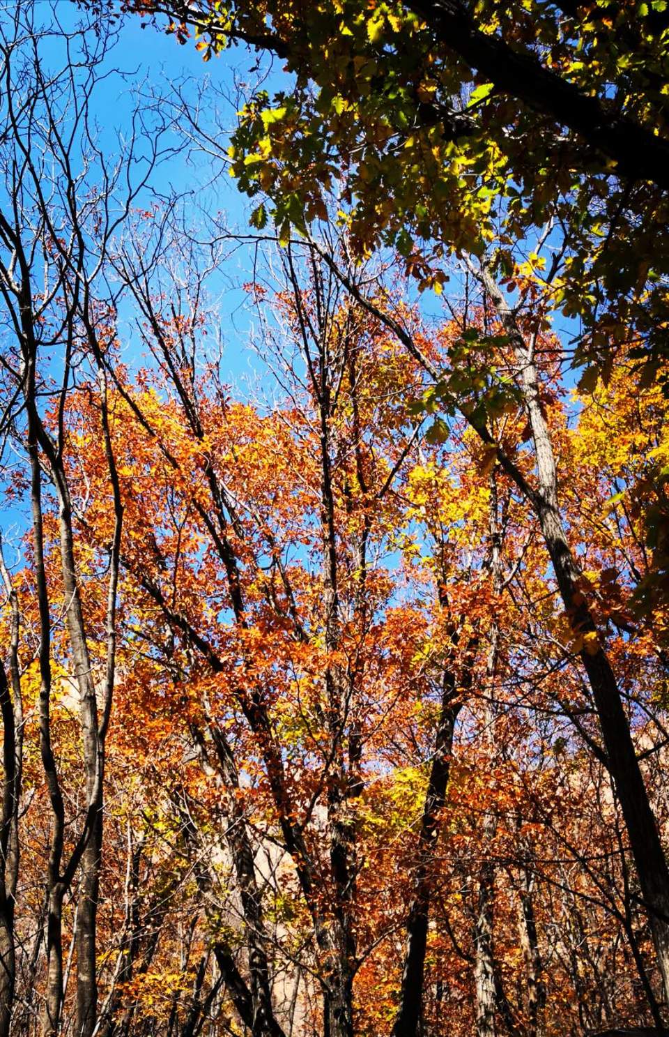 agTq3L2NK1xFEqYEYz_t5yb0PGfcxoPZOGAozls3cRI06rbaUpZhz3Utf-czyhDS