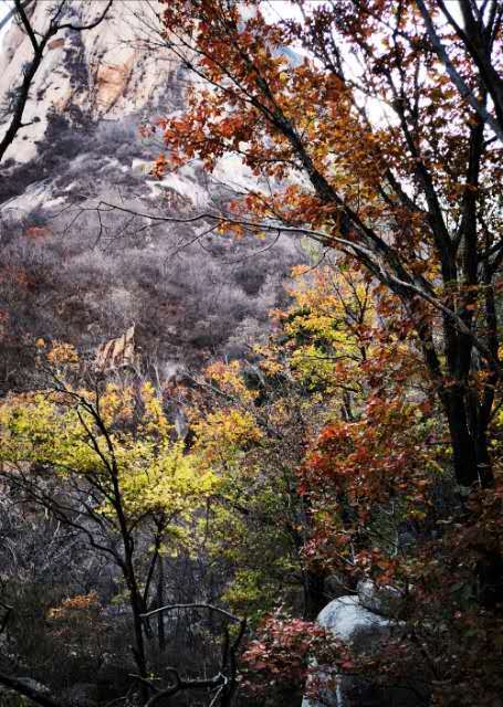 ohwhRE63CUL1Cb4PMJOSE6d5gEJkLCKdVYJ4ApipH2w9U40-5qptu0Faw5Hu2bjo