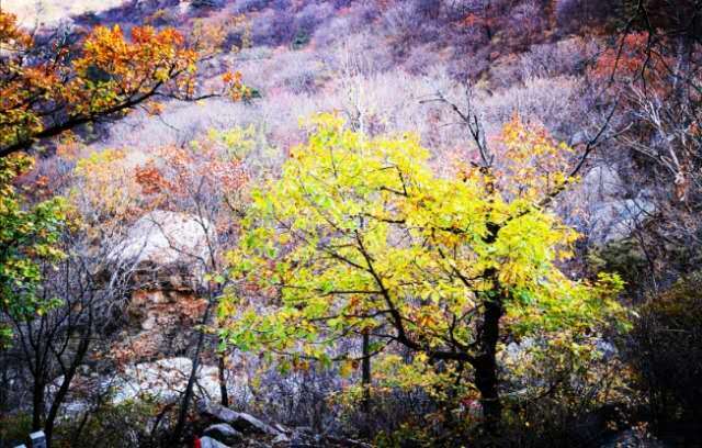 6axjhfBvYqFIl-jLEyvCLAGv4K6tQWqCGeb_GyKJhYcBqg5R-oDsIF6KkHjCrbsJ