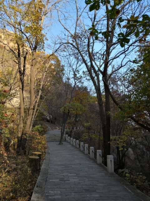 0OmVIN-agazQR9l_s-GhO0iXmVsF2GWKkm6WDA5nVpzuXr_YDgBgenF7_2h3OBLg