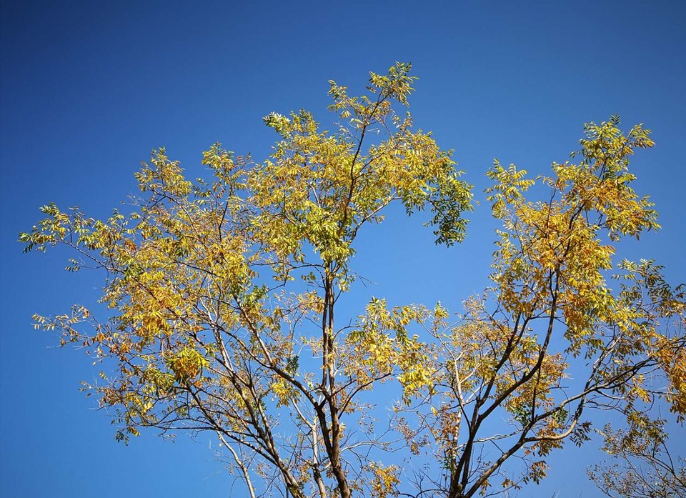 e9iDD3HPanppctCDsxjayOmDyLU_u_Z-FoRkyqxB-35r4Ypi5qa1U5WQrYE4crla