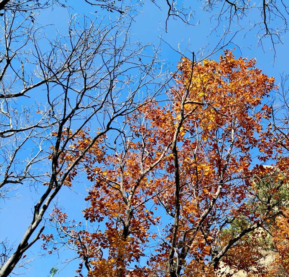 sS9-4zxwHCu5KqL5LBDbim1yTKsfLSkoHh6z0CmOj4cb9O2k8z_5xJAHXWKe484g