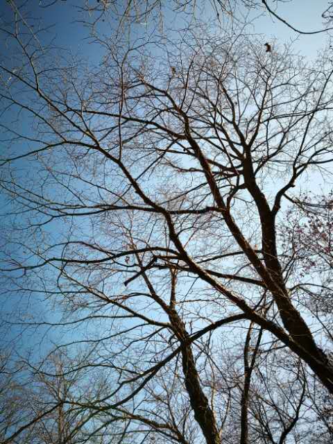 sDVAzkfRF6ozdAeKJv8H4fWr6CqRLLQahVkYU2S4MMcSi9EIDefozcq1hXNr3yzW