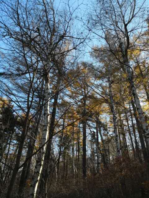 -uc14GpKxp7oV2O7xCzUkT1MgRTesP6aY8OmfgpMsQXjdY707md0TutSkzqgi0q6