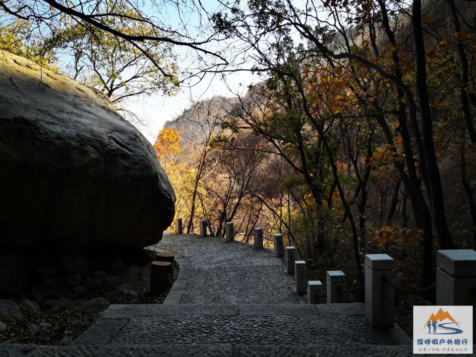 UcCsYwoRX2Syt0VsG9BxQQFHLg0Uw3PDmQNiNE2ICtJr0cqsi-7gQNJ5exMxoWfc