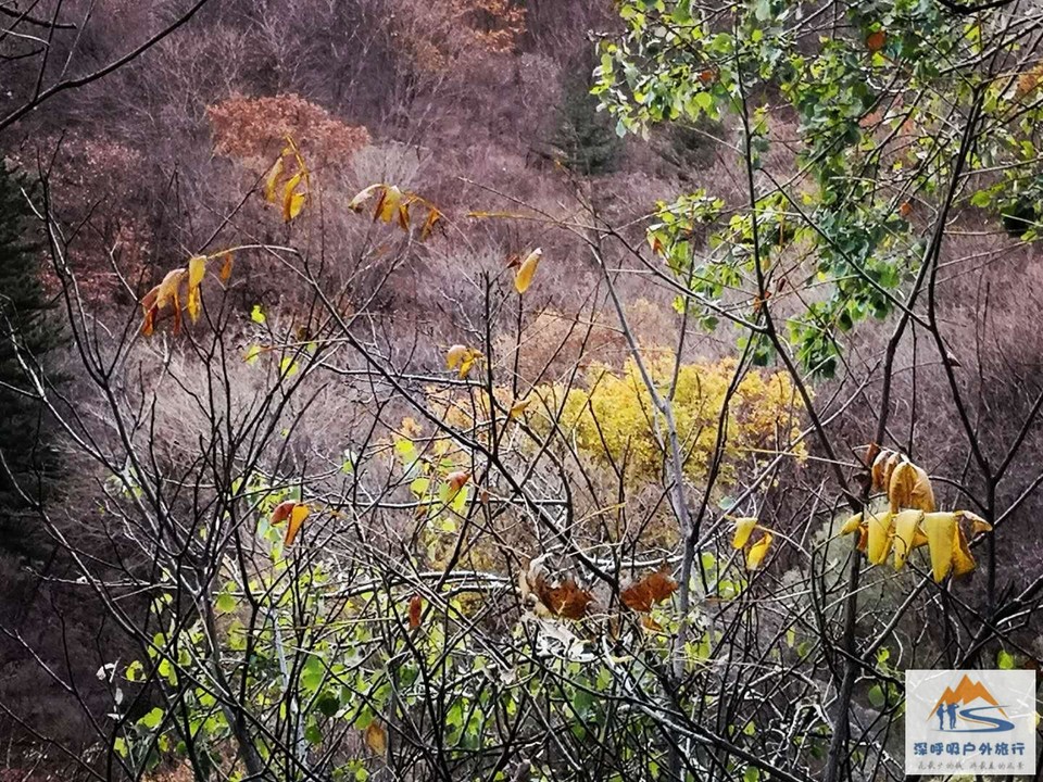 -awPhZ-UIJyRdeq4ippb9szQAdg9cSXMjJg6soxfq-Di1Cy5n9ZfEv0BcWhRPIcS