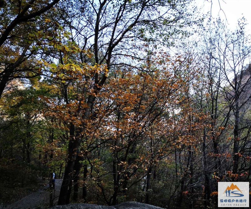 URFI4XnlmJ9YSTtt3C0E0AB_vfU_E3Laou_g1eTZhCQmbL6OpBQIyx9pKY65gelZ