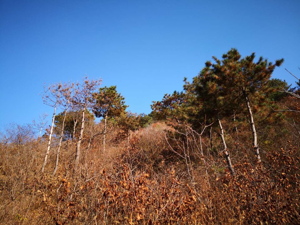 xwZ8DLk_9soKgUkMIrduSh_6FZ-eKP5bAxKpDQg-Xw9InUPGsyq7cWsCZ-fs_dJ-