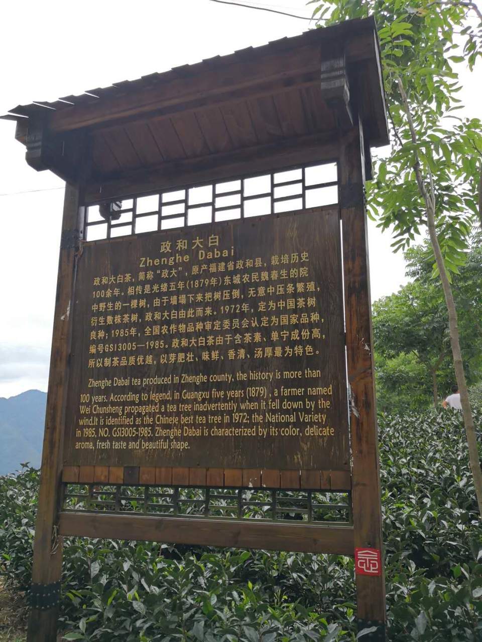 yo30pupMFdwrAwcrBr28bRbxSAMfgInTgQ16wwwOpzrgztFUP6l3WkR1y7oP_qSA