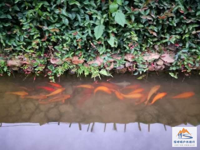 K0C1_8tJxs4QBXxuUkA7W6LrZ7B0rw2yRpTy3AfYfZAK3cmzQq7JgZIDjn7nBmdc