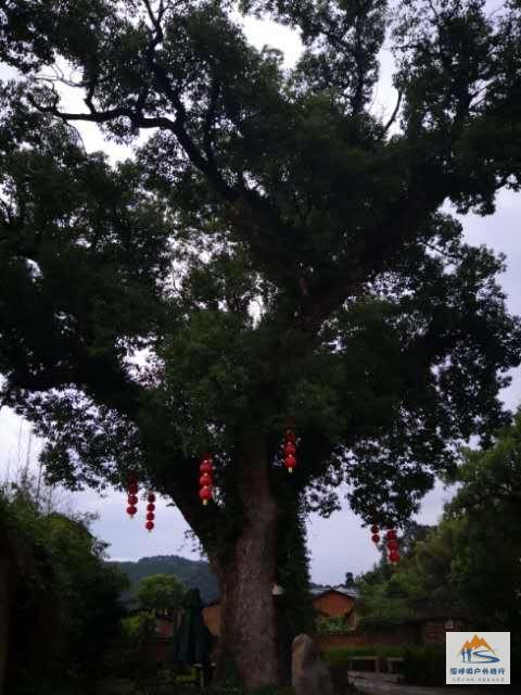 o0ZvuDRuE9wtlW_-KDSSzx9Tb5XYWdHny3PoZFBoDvXAci9F-wk995D3EycsiGi1