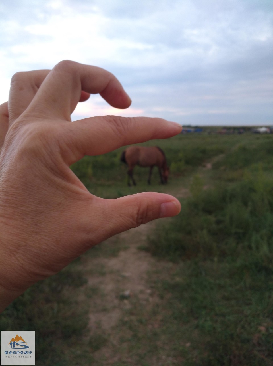 MLRN7ISXTx262s7EHbFT1NFc_qCup0JSKAnj-s1a5aHdieW2OTQsYxa0E1pDhn4d