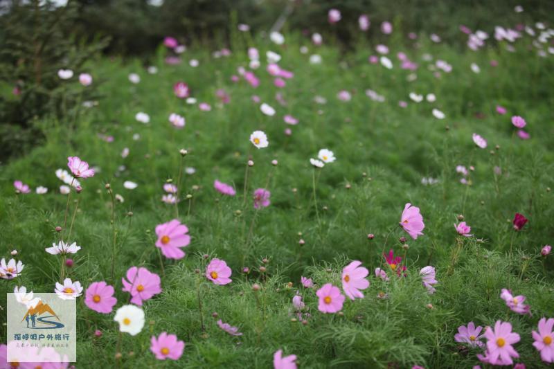 uRRH-ndBwJwkQTaqnlejEFx6r7Q9-hw7PykUducFflG911ChQgBcDufKv81fTncW