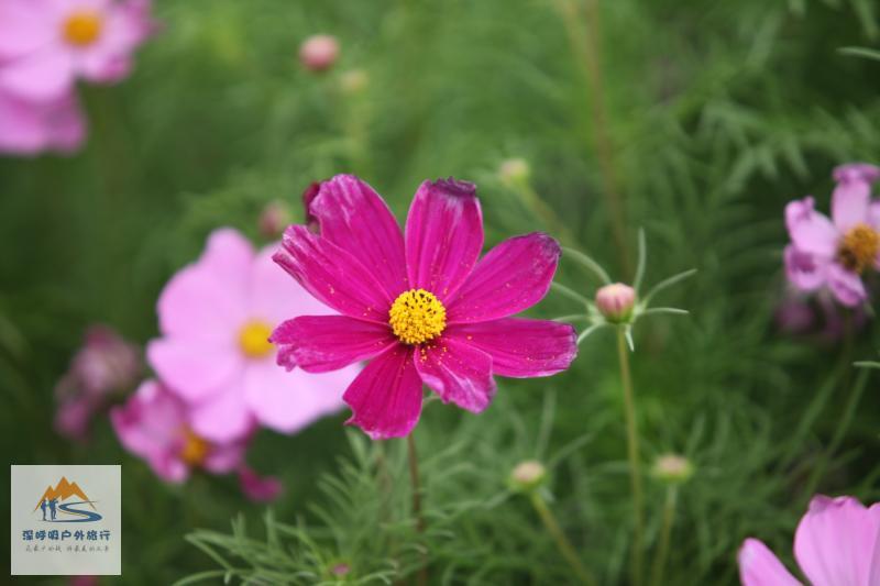 ntHIPl_SLhMXNWwL9AXb3kEFVyX3u_4Zo2UASTzb3cny10jtzzGqyj0QBK9nWE7i