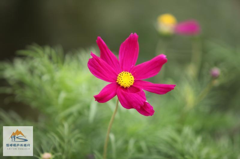 CmFZrj8yEix-U9WOODqZZmVE7Ti1rqLusBdTBBcrCygilFcv4vK5eHNlKW64FeLj