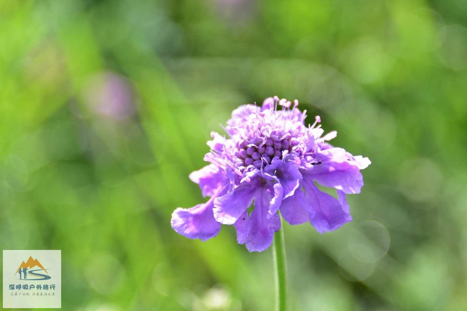 SZMgkBPZTQzhV7BycC11boCkiYXQiMbEyy3rJnXRjxPIT5Wn6a4W6HmCuHTXU14w