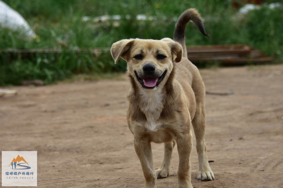 kTyyn0a0OBMw__EWwyeeHgMmlZvoScdS07lwYlGR8KzXcsBM6yC7QslAJHckry-1