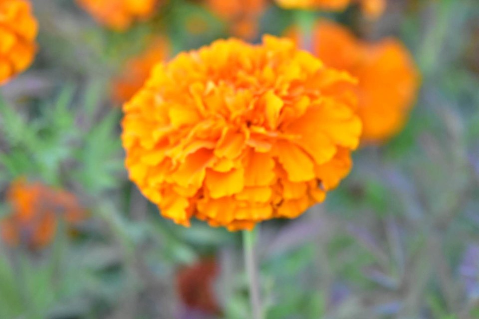 0ONuM1OdO5UzIGnExu2bTawphcdTSpCDbJAKZSVEZxJOa6SJ14mohZowqwH_efaK