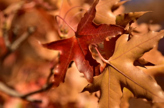 t2yXIBCDnur50sDR7YmFoUkn0TD1V6xsx_9n7yQtJknu7HSgdphaUV2n2YMcIVGG