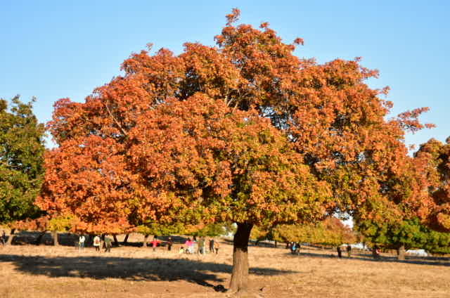 Az8fFaiPvG6vRRhabVdunv83BZf9hilzS_OryuEcBelaF5166b9aHqdwQyBcTu9a