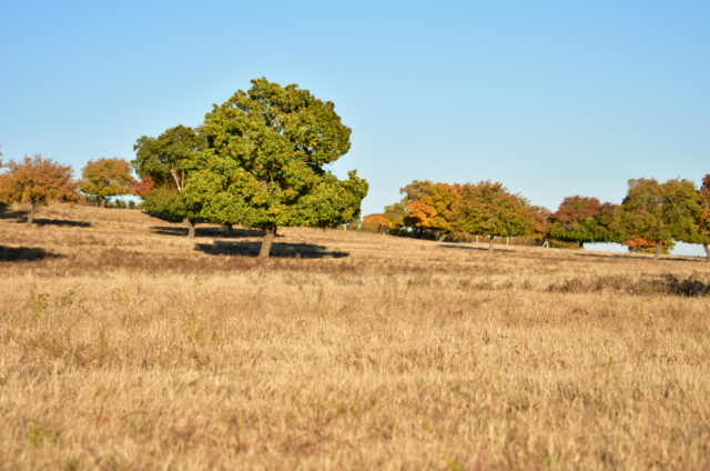 jRd__BwVc3Atg8GGP7ayia7YCl7PV3HFL2O1RMoK2XeVuSPg87WQ2dHkNhVwpBla