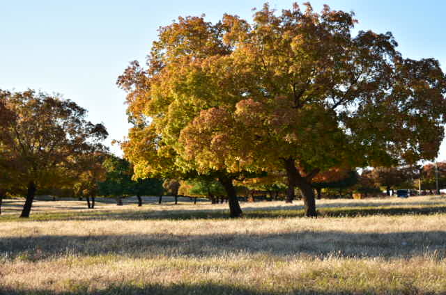 GD_E4XxZAHZSySUYePEeDKBtPmQh_JgdGoB-lXIfTTuL7XbsHCzVy0g7bHi3CqcD