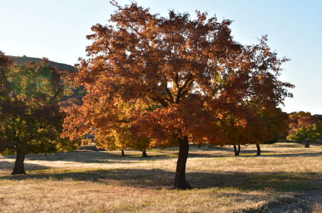 CRux14CHhQDplCsoHq9kJH6-yk2YqrQEXwEDa-jz-5xleS1Cr1PJPWcMTOvQu-Jt