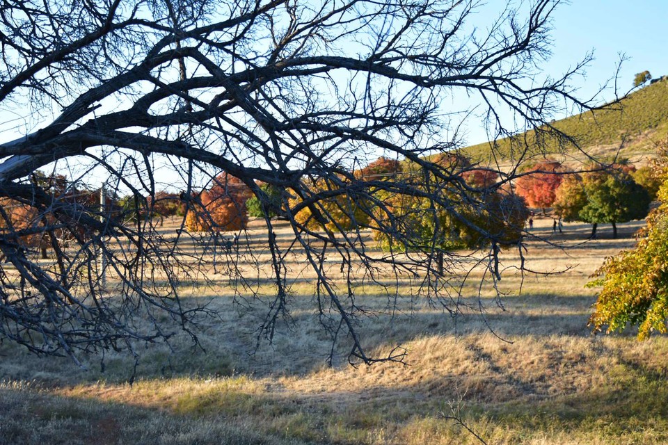 _IEnWxbRRUql4IL6AWh5oZnjIukZxWyJI3KLa7nymCDkCkLqvECuE2qyZdBXQdMD