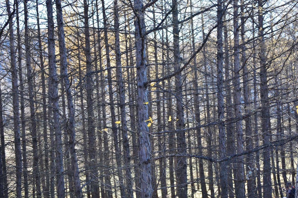 Ms8xdyCQZpjVUsKin9tn-cr76PzauNEojayZgDvzIyaQdteG4-lkqD5ThLfbnAFQ