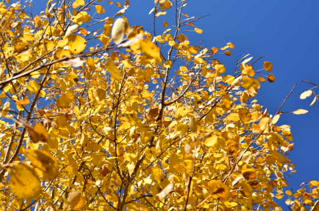 oU3liO7olchALXdW1AyhXFI9E0gnbLYXyVUHrHo_PyImQsR3Hb3ja5T-4EAxncAl