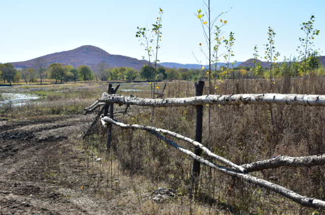 V2J0-apU0pZBxuwL7vm7E-Ic3JDqfmDKnLPWs7lkE4kknK6vjEHQpTiGw31-_1E9