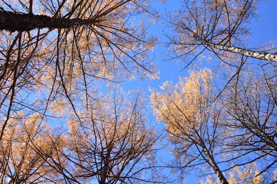 ykjt9eIey3u4QzYGtaiE_HKhj7iOYRJFDp6zxpQfBobxZDZXyO2fYxvVk8lFVkTC