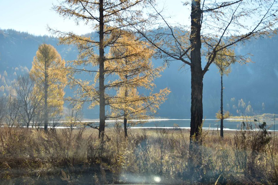 AgqNU8eXsgF7xK9L8RJ4ToJ8APwEPfgLgsmXOeJmJK5sRJLwRfc8EPCtRqIVel1a