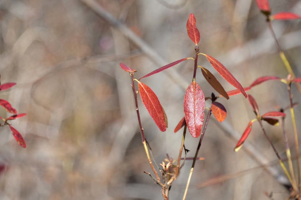 n9c39QqQsfoff8UgeKuvHu_NvWoHQTvL_VqInmjZuqOGEXM_Fct9jp0u1OVTnW7f