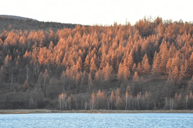 VMONKHwZS6J61LOekic0ebTudIVR6PIvB_i1K-QjvoaRL7QrhLj9JbXTWSsp8ycp