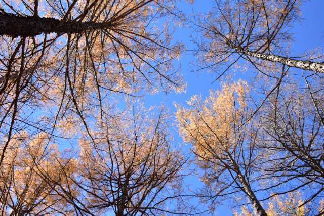 kWSQGZ3jIkYax0IaNzdVbI-TlB5Z0oe1cnJs9Iecj24vQx8MS_mygl3E5DEU3FRu