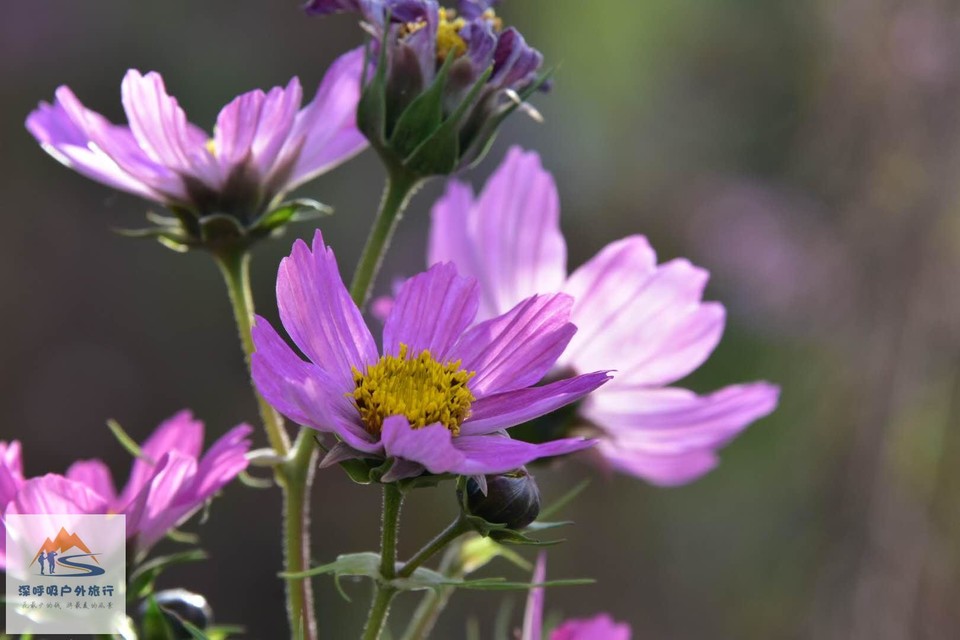 d1NOgRGZpwgdG_oCljYtvXzr7EjCEQNfzR9GYgj6IgU_46G72VUwgnkW6yRun-0m