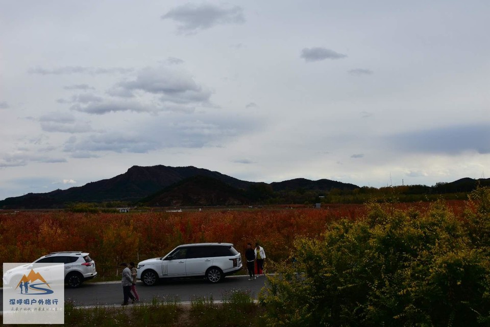 XJWS9LH8wEA_fHJD45aUZJOBETK_Vt8B9A-rn_-9M5DsBX6oW10AxcSYsRd8qH4g