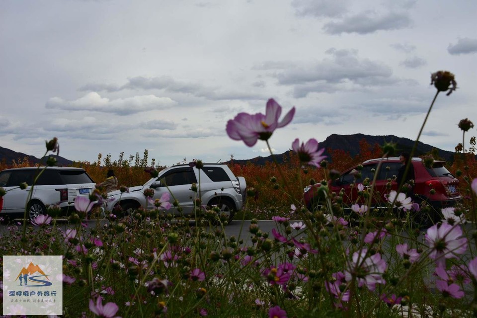 UFbLcUSZq4cZbfp4B_MbyaW7pWCsJ9GVDza1FFcAF7mBAJ7CakrGo4LRWv34rKif