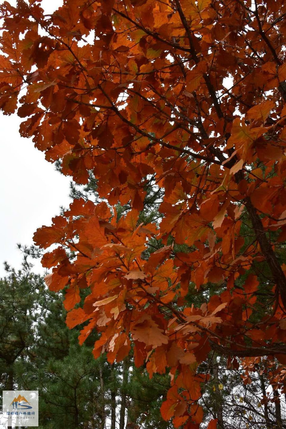 xwZ8DLk_9soKgUkMIrduSqnbkJDCj8IGAIilcCp3t0-k-pgAul-pP-NrT4-HlN0T