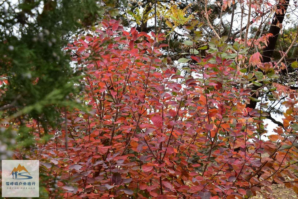 XMnAsi6RPDlwfT3HDhfwWdD7d2mFZSP9naZjKUiQy_aDG0opUDsruTPRNX68okKQ