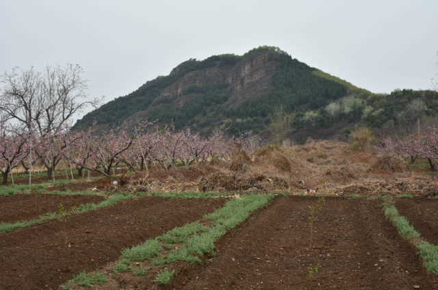 a5kh5OawmIiv2Yin0iz-JP_oeM34jFhuko3yBRAi0z6xxDIiXd1iqa9iSCbxuihM